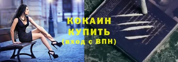 шишки Балабаново