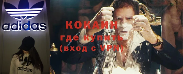 шишки Балабаново