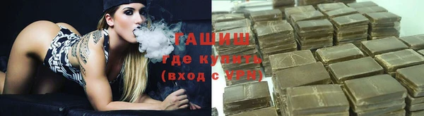стаф Белокуриха
