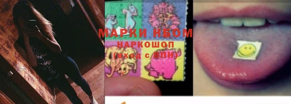стаф Белокуриха