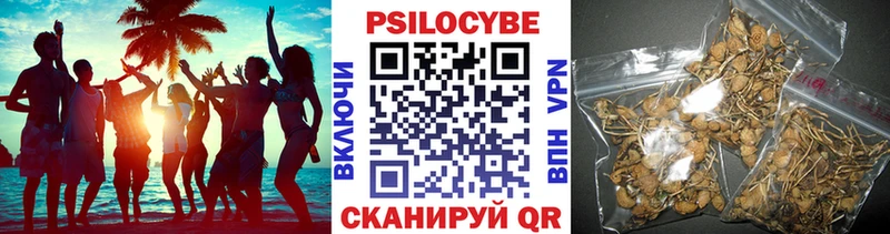 Галлюциногенные грибы прущие грибы Воркута